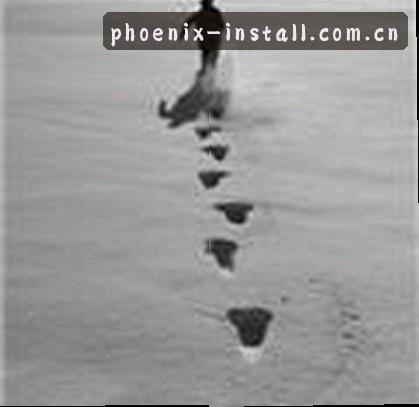 刘洋